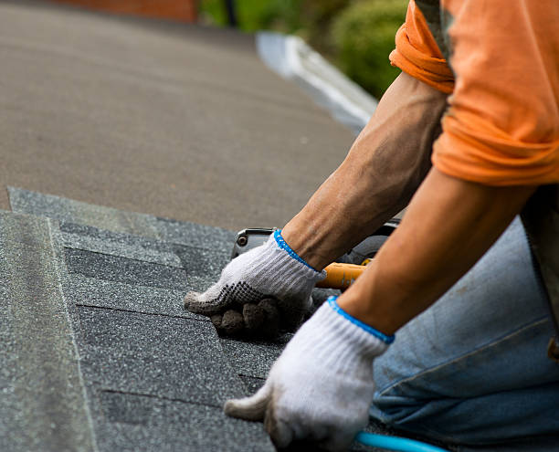 Best Shingle Roofing Installation  in Edgewood, MD