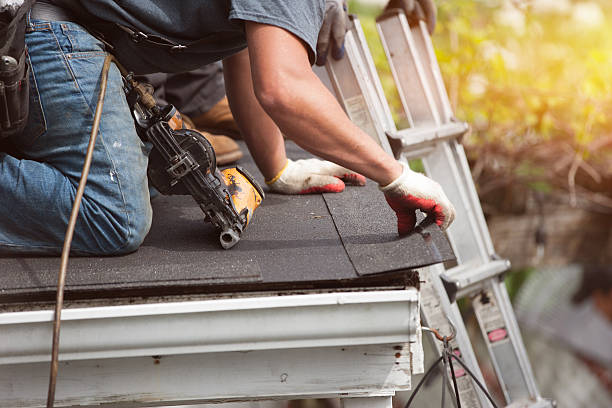 Best Roof Gutter Cleaning  in Edgewood, MD